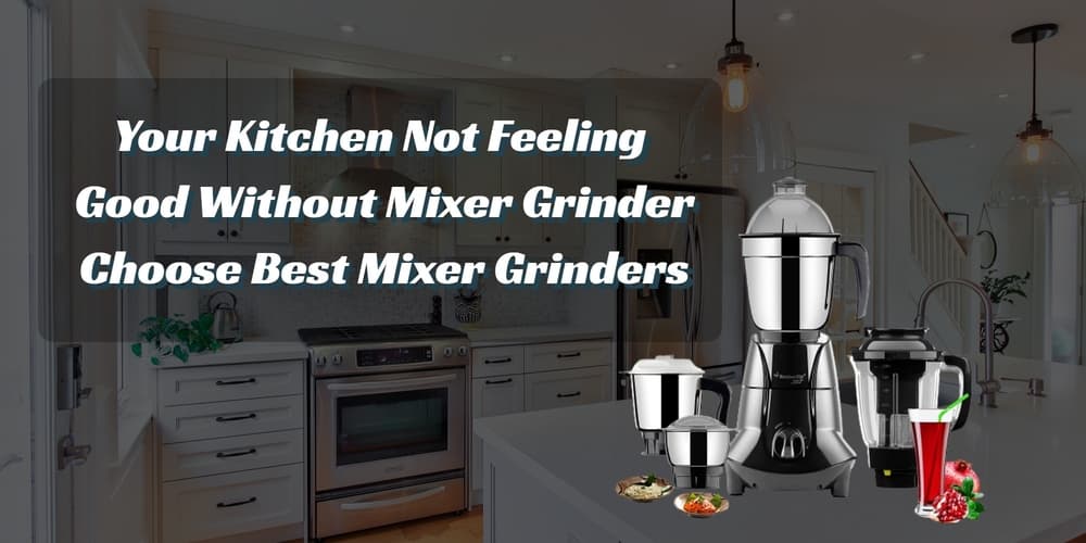 best mixer grinder in india